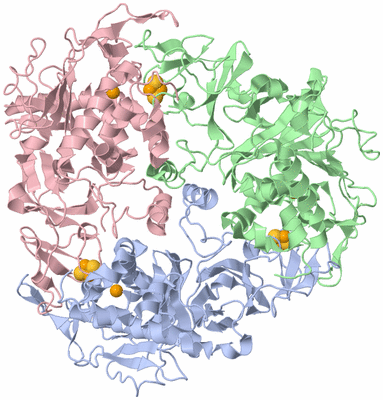 Image Biological Unit 1