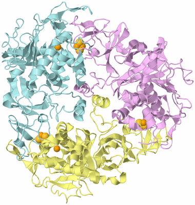 Image Biological Unit 2