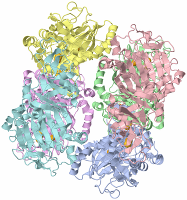 Image Biological Unit 3