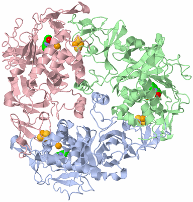 Image Biological Unit 1