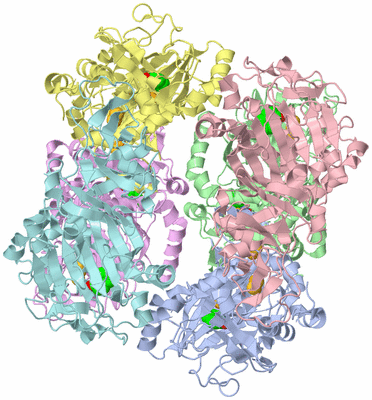 Image Biological Unit 3