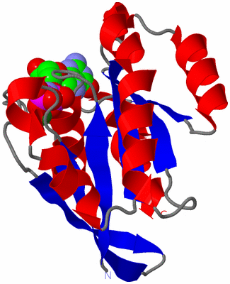 Image Asym./Biol. Unit