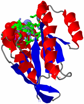 Image Asym./Biol. Unit - sites