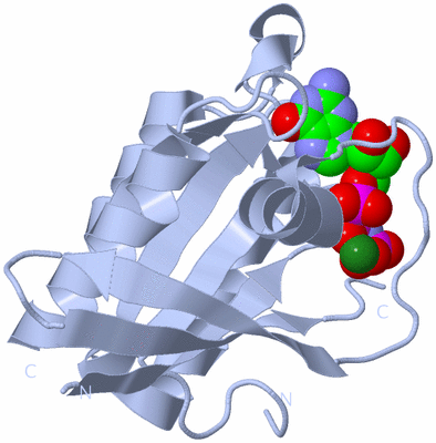 Image Biological Unit 1