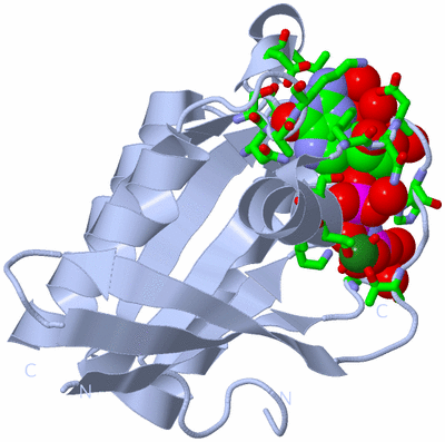 Image Biol. Unit 1 - sites