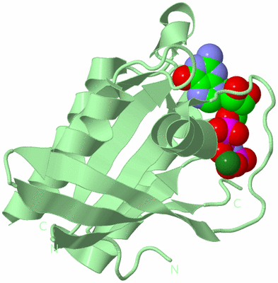 Image Biological Unit 2
