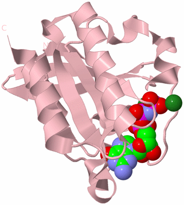 Image Biological Unit 3