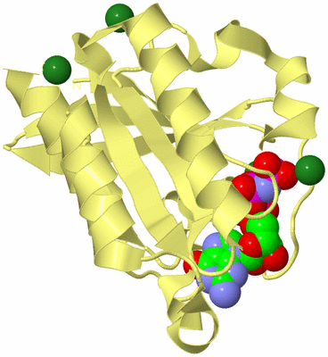 Image Biological Unit 4