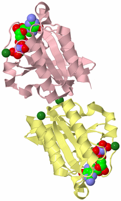 Image Biological Unit 5