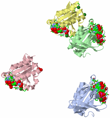Image Asym. Unit - sites