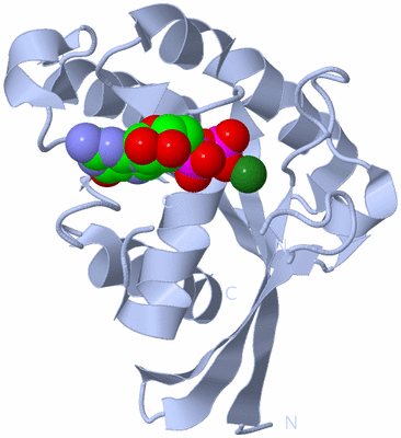 Image Biological Unit 1