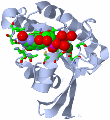 Image Biol. Unit 1 - sites