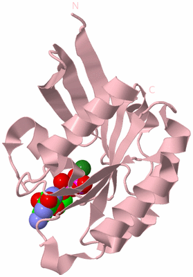 Image Biological Unit 3