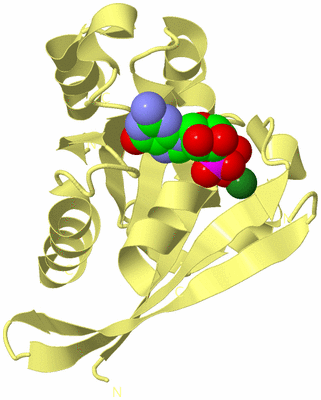 Image Biological Unit 4