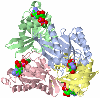 Image Biological Unit 5