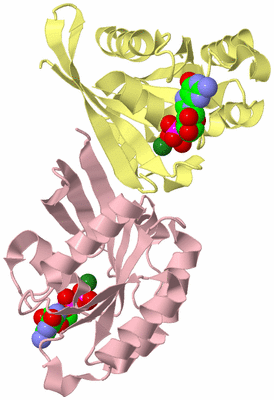 Image Biological Unit 6