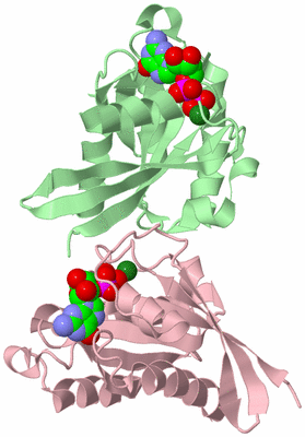 Image Biological Unit 7