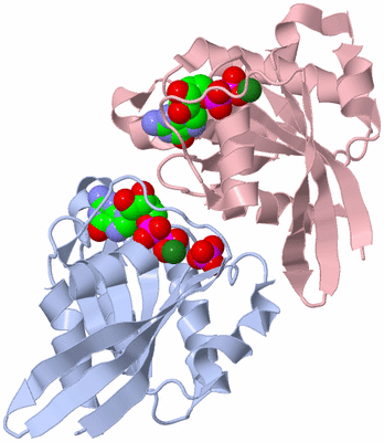 Image Asymmetric Unit