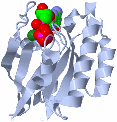 Image Biological Unit 1