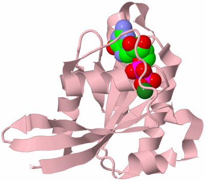 Image Biological Unit 2