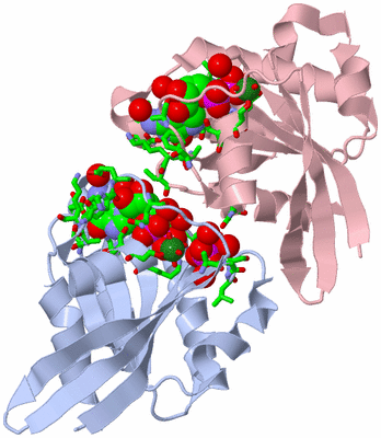 Image Asym. Unit - sites