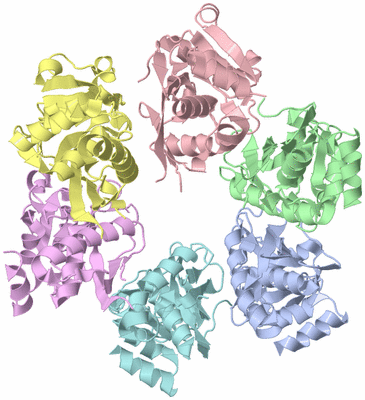 Image Asym./Biol. Unit