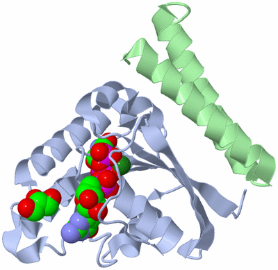 Image Asym./Biol. Unit