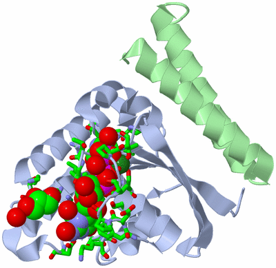 Image Asym./Biol. Unit - sites