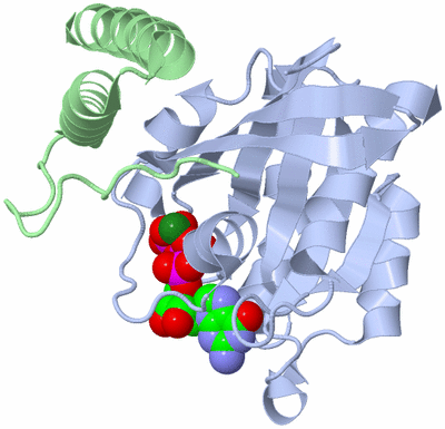 Image Biological Unit 1