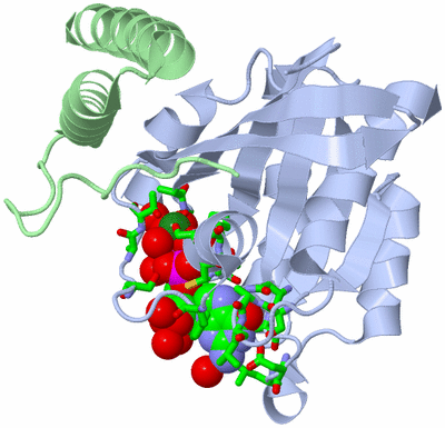 Image Biol. Unit 1 - sites