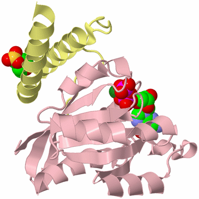 Image Biological Unit 2