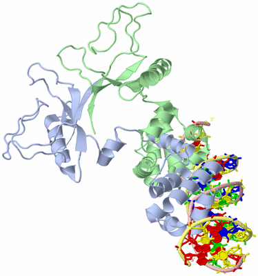 Image Theoretical Model