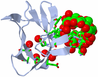 Image Biol. Unit 1 - sites