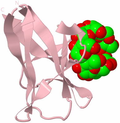 Image Biological Unit 3