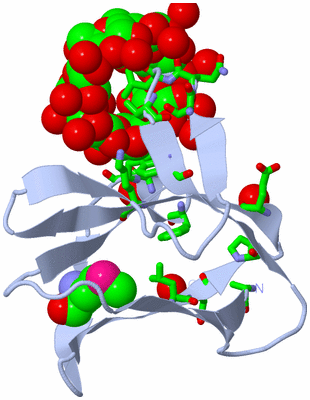 Image Biol. Unit 1 - sites