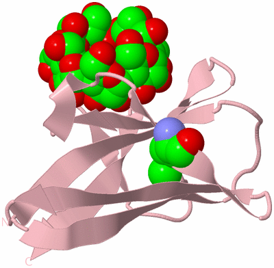 Image Biological Unit 3