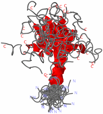 Image NMR Structure - all models