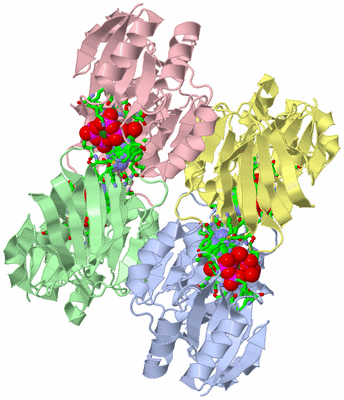 Image Asym./Biol. Unit - sites