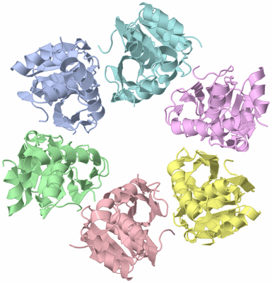 Image Asym./Biol. Unit