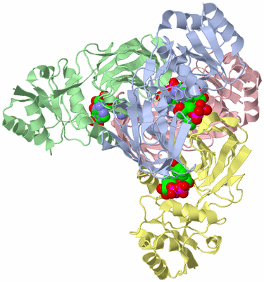 Image Asym./Biol. Unit