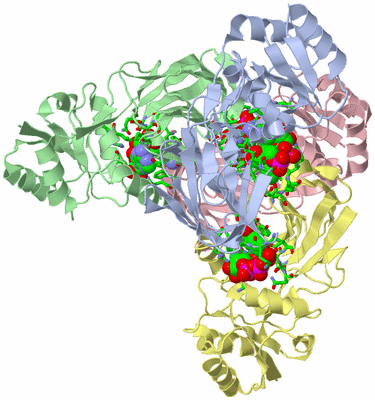 Image Asym./Biol. Unit - sites