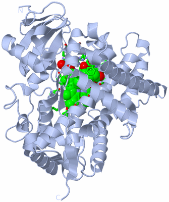 Image Biol. Unit 1 - sites