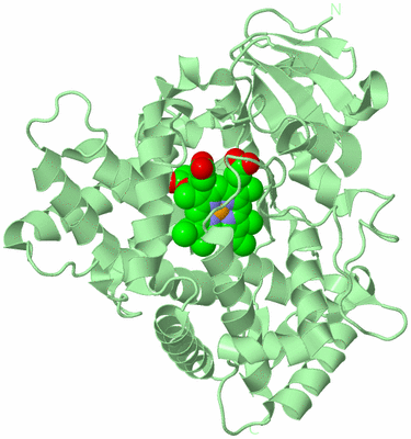 Image Biological Unit 2