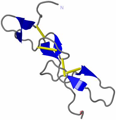 Image Asymmetric Unit