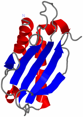 Image NMR Structure - model 1