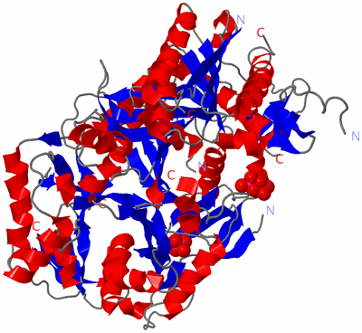 Image Asym./Biol. Unit