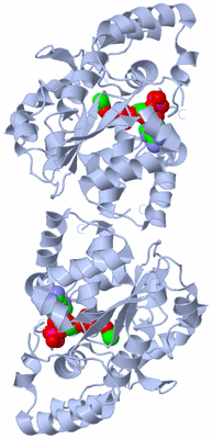 Image Biological Unit 1