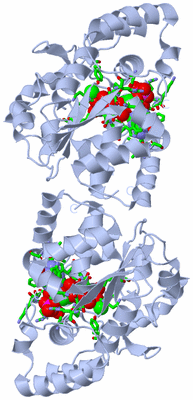 Image Biol. Unit 1 - sites