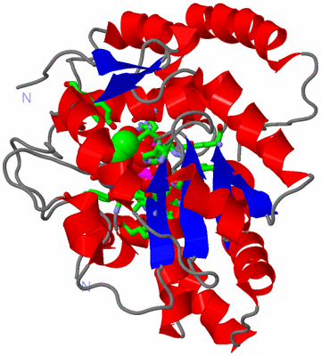 Image Asym. Unit - sites