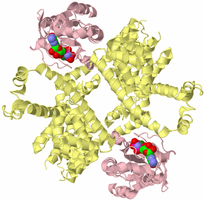 Image Biological Unit 2